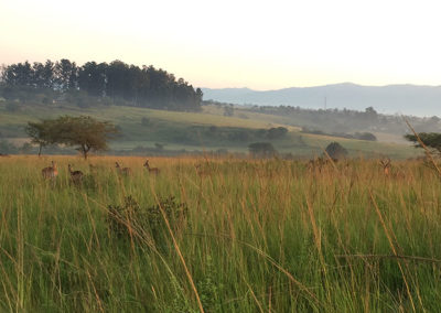 Easter Weekend, Swaziland | With Belles On