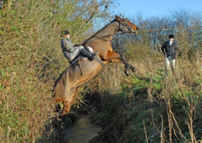 Horses and Hounds: Ireland | With Belles On