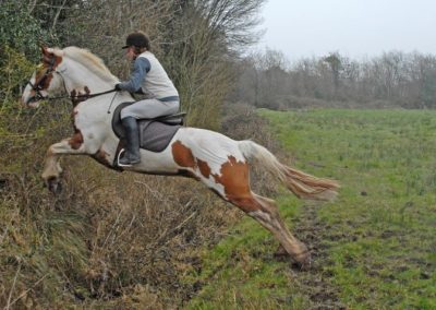 Horses and Hounds: Ireland | With Belles On
