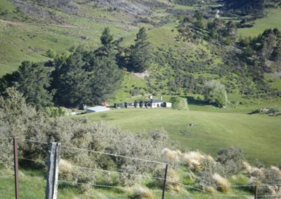 Tailing, Okuku, North Canterbury | With Belles On