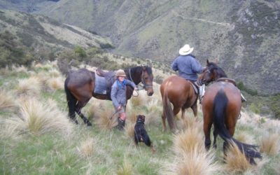 Tailing, Okuku Pass. New Zealand