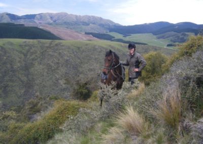 Tailing, Okuku, North Canterbury | With Belles On
