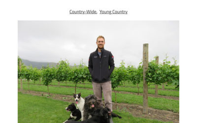 A grape life for dogs. NEW ZEALAND