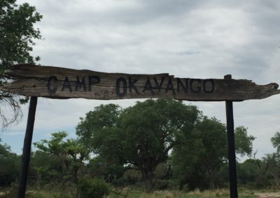 Okavango / WIth Belles On
