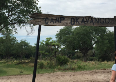 Okavango / WIth Belles On