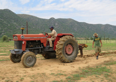 winemaking Namibia / with belles on