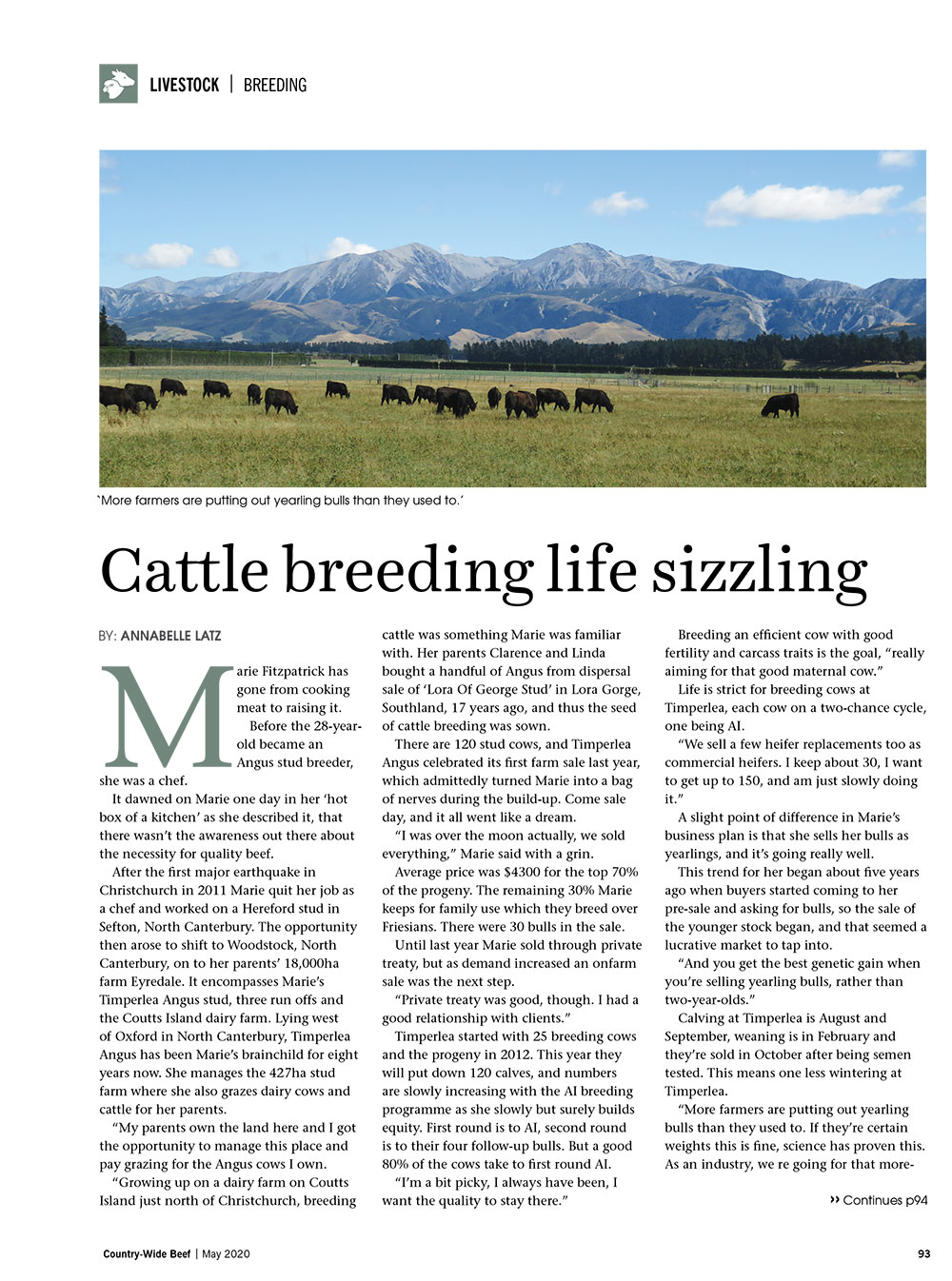 Cattle breeding life sizzling | With Belles On