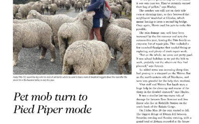 Pet mob turn to Pied Piper mode, New Zealand