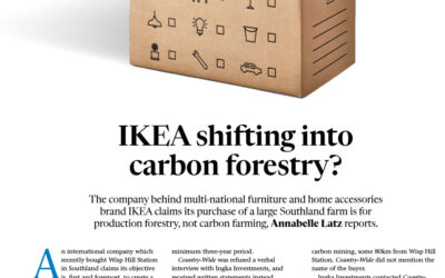 IKEA Shifting Into Carbon Forestry? New Zealand