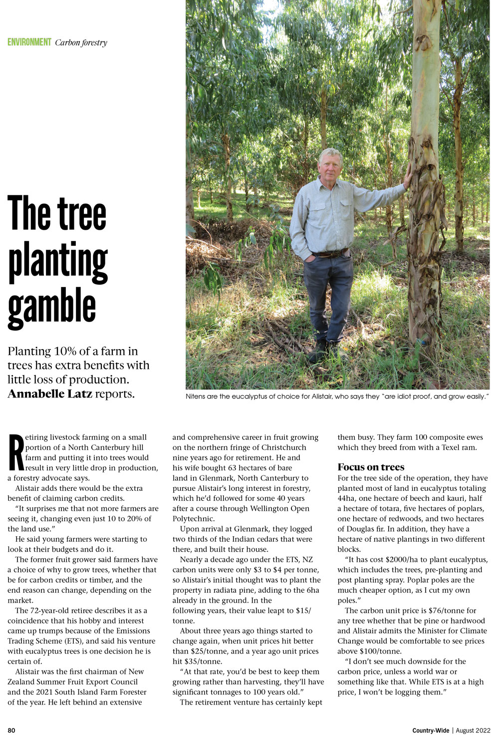 The tree planting gamble | With Belles On